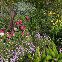 colorful mixed herbaceous garden scene - garden decoration stock pictures, royalty-free photos & images
