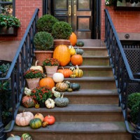 colorful pumpkins on the stairs of an old brownstone home near soho, new york city - garden decoration stock pictures, royalty-free photos & images