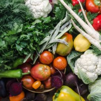 colorful variety, plant based food, homegrown crop - food stock pictures, royalty-free photos & images