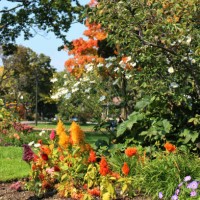 colourful nature: autumn in the park - garden decoration stockfoto's en -beelden
