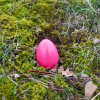 colourful purple easter egg on the moss in the forest. - garden decoration stock pictures, royalty-free photos & images