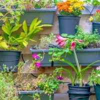 colourful vertical wall garden - garden decoration stock pictures, royalty-free photos & images