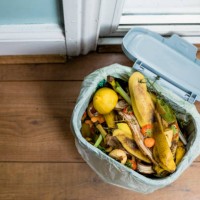 compost cycle - food stock pictures, royalty-free photos & images