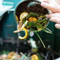 composting & plant care - food stock pictures, royalty-free photos & images