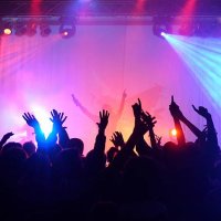 concert - concert stock pictures, royalty-free photos & images