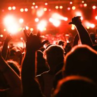 concert audience, rear view concert crowd, music festival - concert stock pictures, royalty-free photos & images