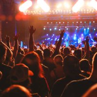 concert crowd arms raised, audience cheering, live music event - concert stock pictures, royalty-free photos & images