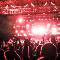concert crowd cheering, concert crowd audience rear view, concert fans - concert stock pictures, royalty-free photos & images