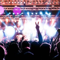concert crowd rear view, audience arms raised, enthusiast number one fan - concert stock pictures, royalty-free photos & images