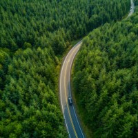 conduire à travers forêt - vue aérienne - travel photos et images de collection