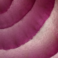 contours - food stock pictures, royalty-free photos & images