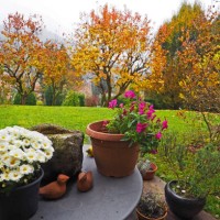 corner of back garden tabletop with flower pots - garden decoration photos et images de collection
