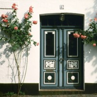 cottage door with pink rose bushes - garden decoration stock pictures, royalty-free photos & images