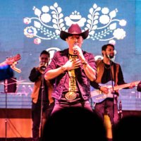 country band playing in a music concert - concert stock pictures, royalty-free photos & images
