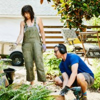 couple building raised garden beds in backyard on summer afternoon - home decoration stock pictures, royalty-free photos & images
