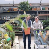 couple shopping at garden centre - home decoration stock pictures, royalty-free photos & images
