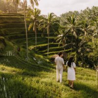 couple visiting a rice field in bali - travel photos et images de collection