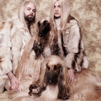 couple with long blond hair sitting with two afgan hounds in studio, portrait - fashion stock pictures, royalty-free photos & images