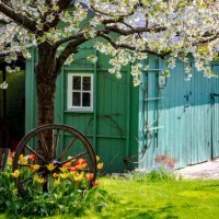 cozy cottage in a country garden, germany - garden decoration stock pictures, royalty-free photos & images