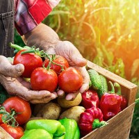 crate with vegetables - food stock pictures, royalty-free photos & images