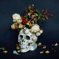 creative floral layout with skull and flowers on black background. - home decoration stock pictures, royalty-free photos & images
