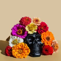 creative halloween or santa muerte idea. mexican skull with bright flowers on beige background. concept of day of the dead, dia de los muertos. - home decoration stock pictures, royalty-free photos & images