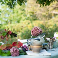 crockery, diy lamp shade and jug with blooming hydrangeas lying on coffee table set in garden - garden decoration stock pictures, royalty-free photos & images