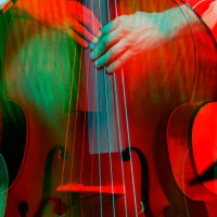 cropped shot of man playing contrabass - concert stock pictures, royalty-free photos & images