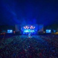 crowd attending music festival - concert stock pictures, royalty-free photos & images