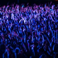 crowd of people cheering at a music festival at night - concert stock pictures, royalty-free photos & images