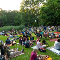crowd of people in park, picnic. - concert stock pictures, royalty-free photos & images