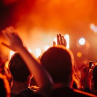 crowd watching concert and cheering - concert stock pictures, royalty-free photos & images