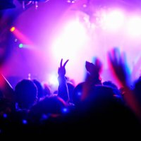 crowd with arms in air at nightclub music. - concert stock pictures, royalty-free photos & images