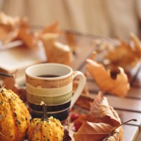cup of coffee on wooden table with pumpkins and dried leaves outdoor - garden decoration stock pictures, royalty-free photos & images