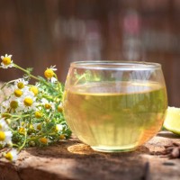 cup of tea with chamomile flower - garden decoration stock pictures, royalty-free photos & images