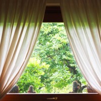 curtained window with view on garden - garden decoration stock pictures, royalty-free photos & images