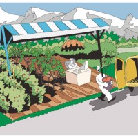customer buying a potted plant from a gardener's garden - garden decoration stock illustrations
