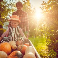 cute boy and his father with pumpkins in autumn - garden decoration stock pictures, royalty-free photos & images