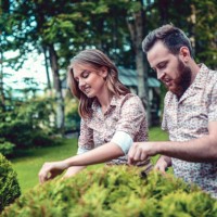 cute couple trimming hedges in backyard - garden decoration stock pictures, royalty-free photos & images