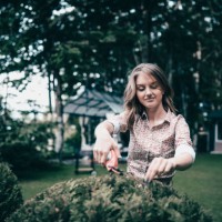 cute female cutting hedge in backyard - garden decoration stock pictures, royalty-free photos & images