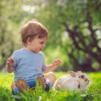 cute little boy playing with bunny on easter egg hunt - garden decoration stock pictures, royalty-free photos & images
