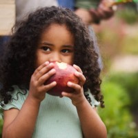cute little girl eating an apple outside in her family's garden - food stock pictures, royalty-free photos & images