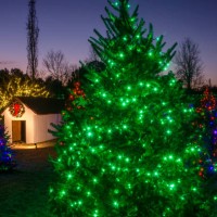 daniel stowe botanical garden during holidays at the garden - garden decoration stock pictures, royalty-free photos & images