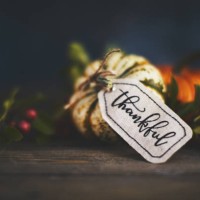 danken met pompoen assortiment stilleven en dankbaar bericht - home decoration stockfoto's en -beelden