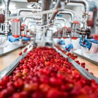 de-seeding of cherries in chia pudding factory by workers - food stock pictures, royalty-free photos & images