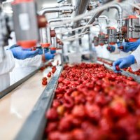 de-seeding process of cherry peppers in food processing plant - food stock pictures, royalty-free photos & images