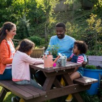 de quelle plante s’agit-il? - garden decoration photos et images de collection