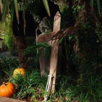 decor in the park for halloween. halloween street decor. graves, headstones, skeletons and crosses. happy halloween. feast of the dead. - garden decoration stockfoto's en -beelden