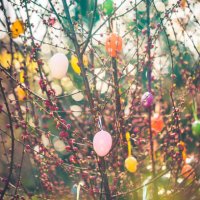 decorated branch with easter eggs - garden decoration stock pictures, royalty-free photos & images