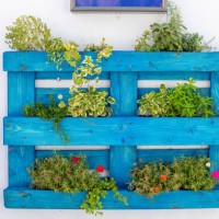 decorative blue wooden boxes with flowers on a white wall close-up baska, croatia - garden decoration stock pictures, royalty-free photos & images